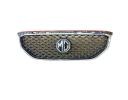 Front Grill  - 10229018