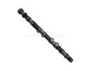 Intake Camshaft - 1007203GCZC