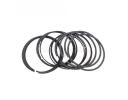 Piston ring kit - 1004200GCZJ