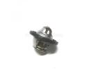 Thermostat assy  - 10013853