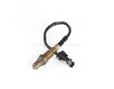 Oxygen Sensor - 10036831c