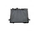 RADIATOR ASSY - 1301100AP00XA 