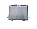 RADIATOR ASSY - 1301100-P09