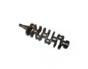 Crankshaft assy  - E020210106