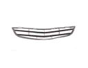 Front grille  - 1018002986