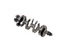 Crankshaft assy  - 1005030GH010