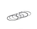 Piston ring kit  - 1004030GG010ZJ