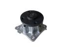 Water Pump  - 1041100GG010