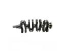 Crankshaft assy - 1005030GK030