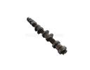 Camshaft assy (exhaust) - 1006030GH010