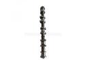 Camshaft assy (Intake) - 1006020GH050