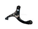 Control arm suspension - 2904300U2210