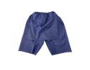 Exam Shorts - PBH3602
