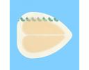 Wound Dressing - QCD5018
