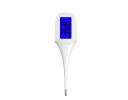 Temperature Measurement